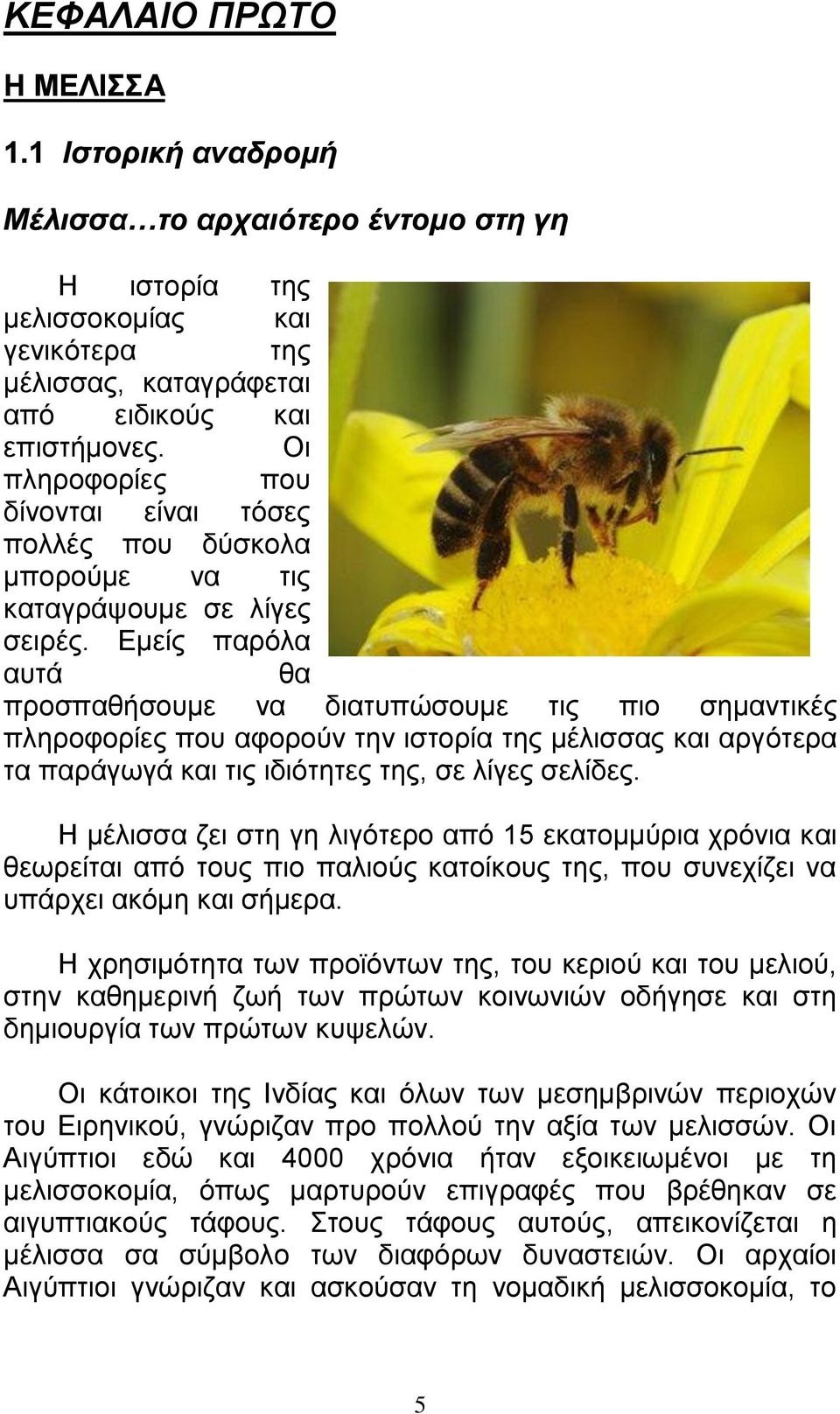 Εμείς παρόλα αυτά θα προσπαθήσουμε να διατυπώσουμε τις πιο σημαντικές πληροφορίες που αφορούν την ιστορία της μέλισσας και αργότερα τα παράγωγά και τις ιδιότητες της, σε λίγες σελίδες.