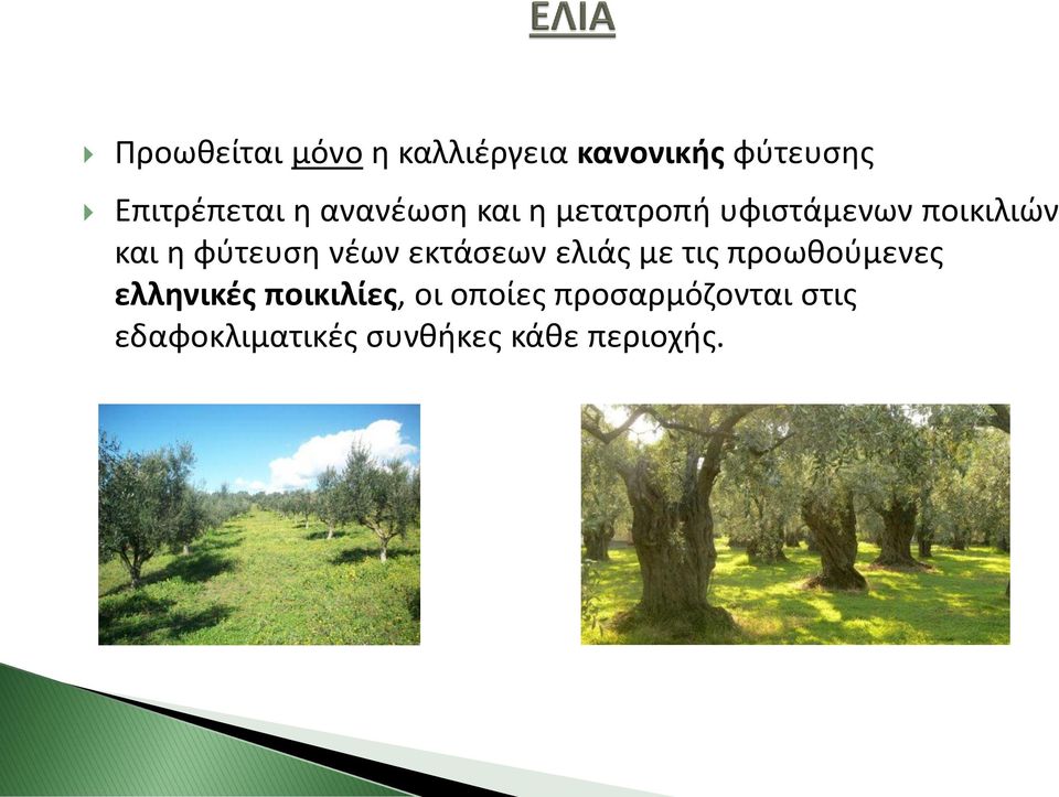 νέων εκτάσεων ελιάς με τις προωθούμενες ελληνικές ποικιλίες, οι