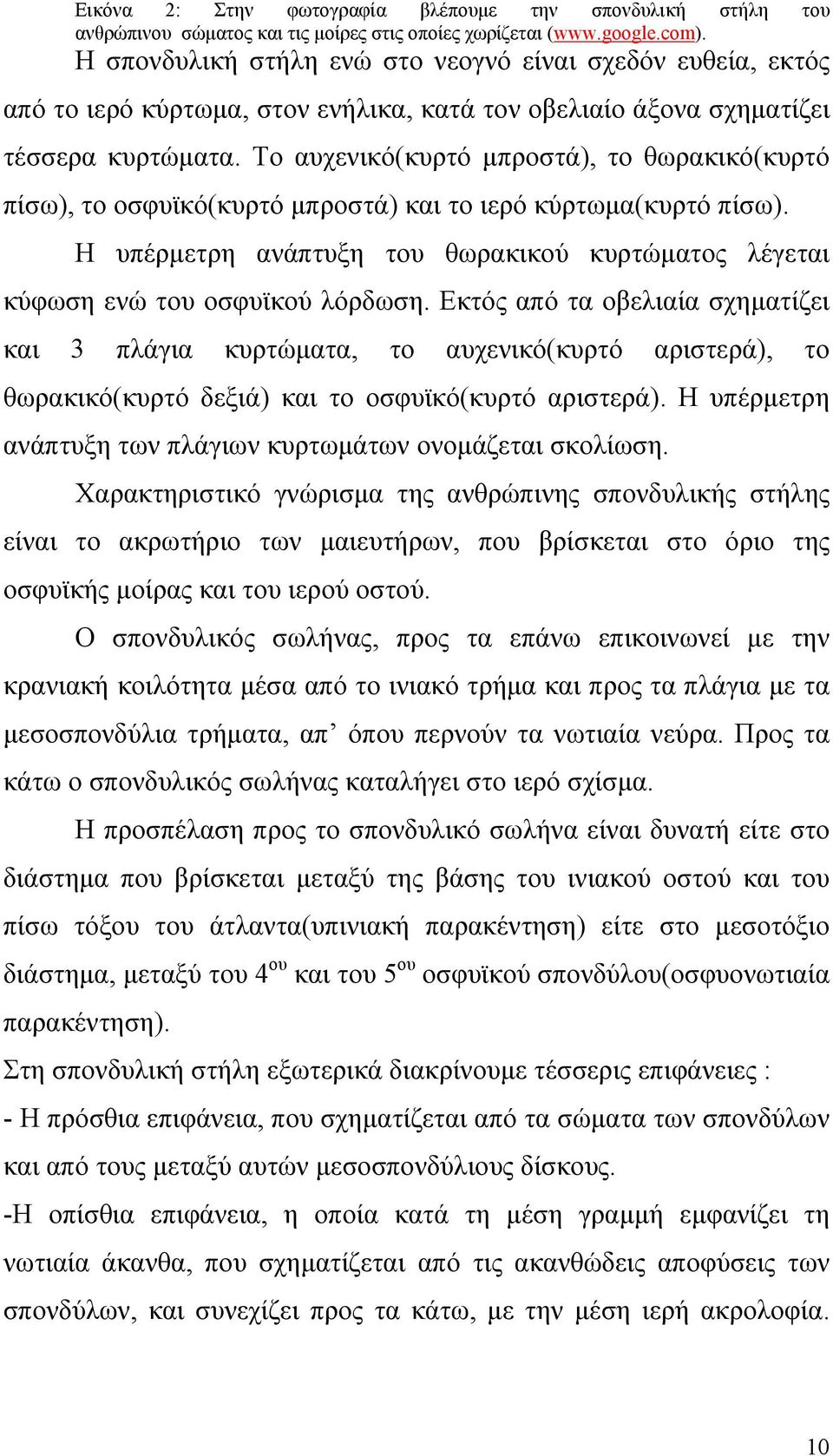 Το αυχενικό(κυρτό μπροστά), το θωρακικό(κυρτό πίσω), το οσφυϊκό(κυρτό μπροστά) και το ιερό κύρτωμα(κυρτό πίσω). Η υπέρμετρη ανάπτυξη του θωρακικού κυρτώματος λέγεται κύφωση ενώ του οσφυϊκού λόρδωση.