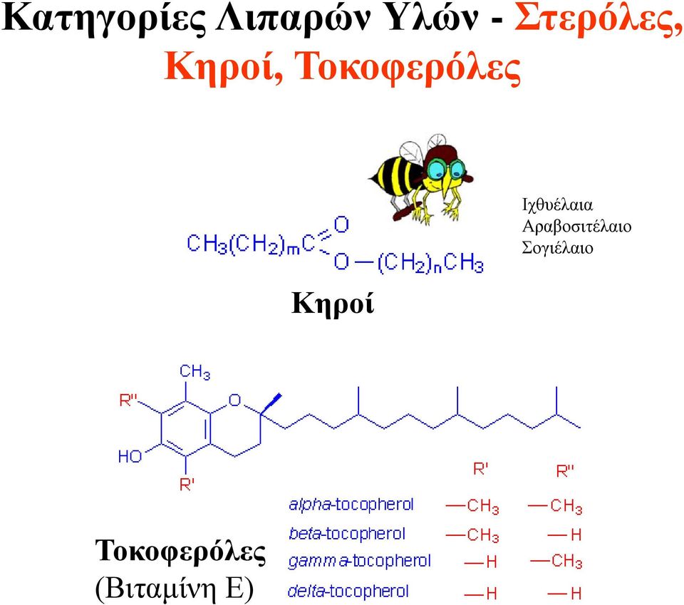 Κηροί Ιχθυέλαια Αραβοσιτέλαιο