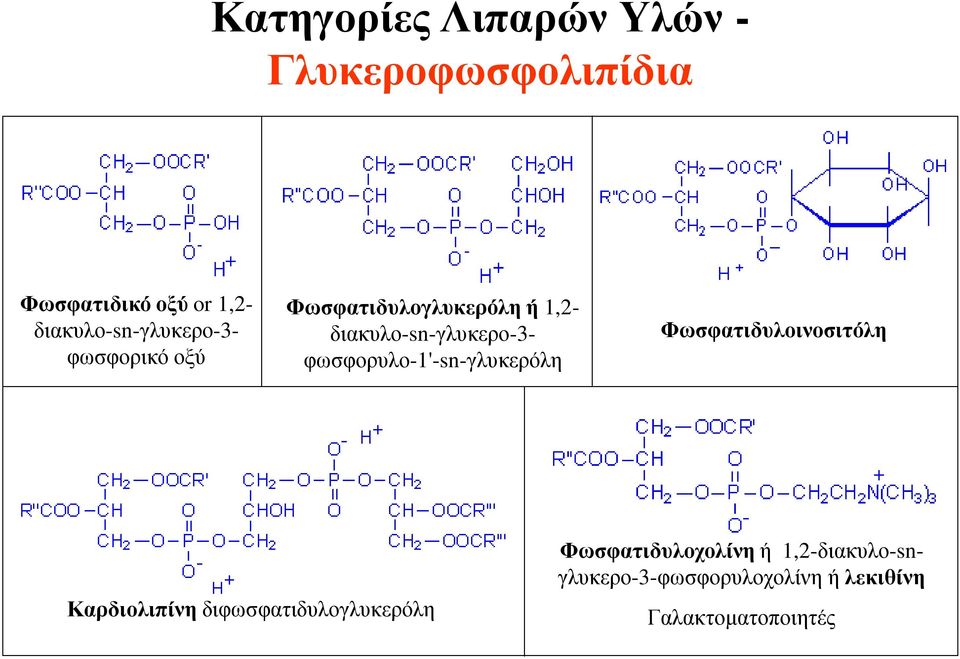 διακυλο-sn-γλυκερο-3- φωσφορυλο-1'-sn-γλυκερόλη Φωσφατιδυλοινοσιτόλη Καρδιολιπίνη