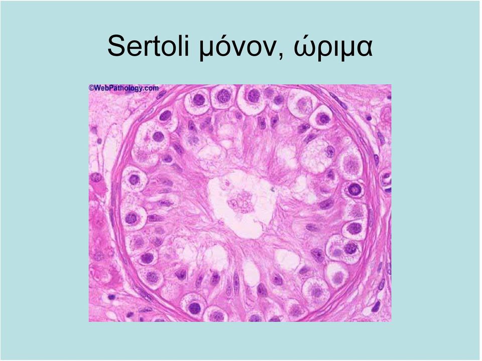 ώριμα