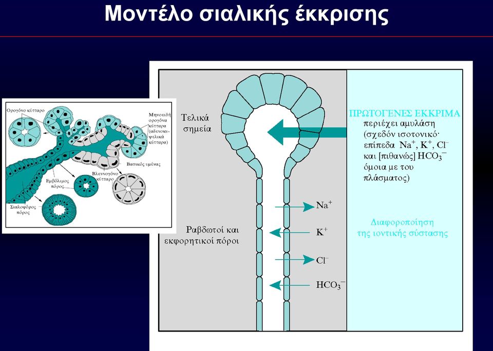 έκκρισης