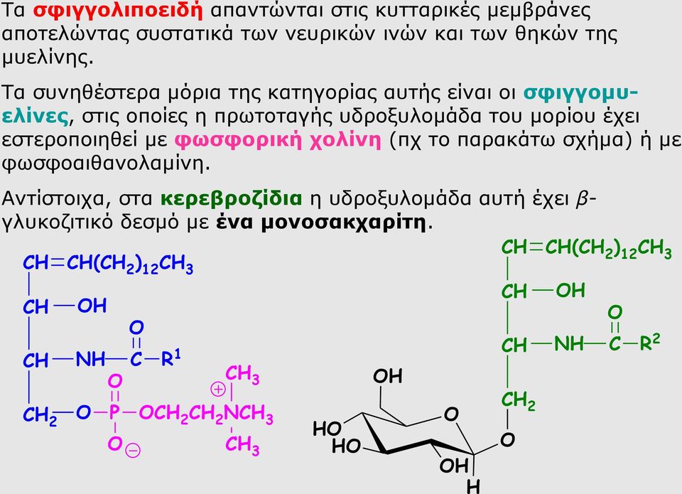 εστεροποιηθεί με φωσφορική χολίνη (πχ το παρακάτω σχήμα) ή με φωσφοαιθανολαμίνη.