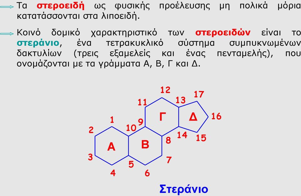 σύστημα συμπυκνωμένων δακτυλίων (τρεις εξαμελείς και ένας πενταμελής), που