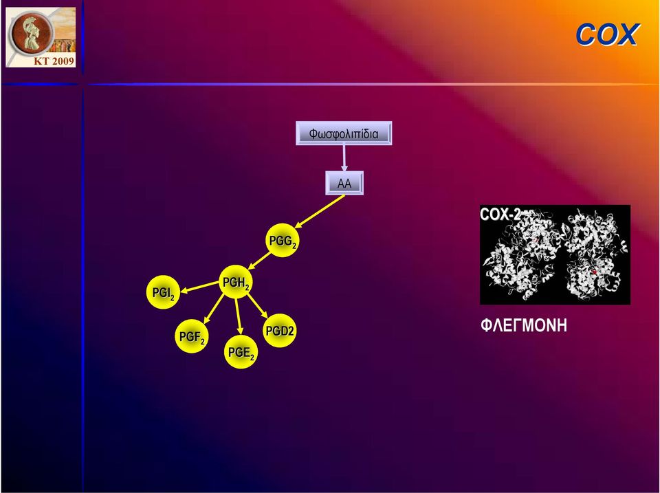 PGI 2 PGH 2 PGF 2