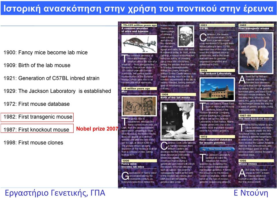 1929: The Jackson Laboratory is established 1972: First mouse database 1982: