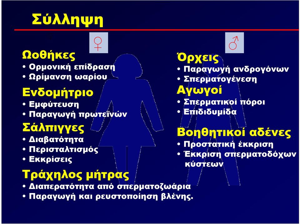 σπερματοζωάρια Παραγωγή και ρευστοποίηση βλένης.