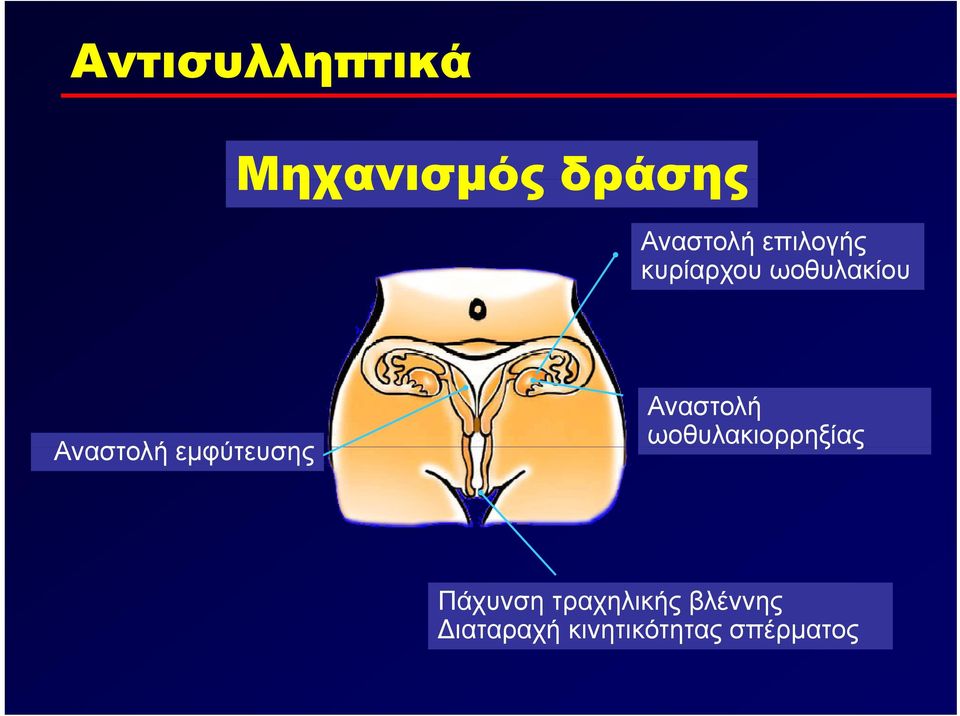 εμφύτευσης Αναστολή ωοθυλακιορρηξίας Πάχυνση