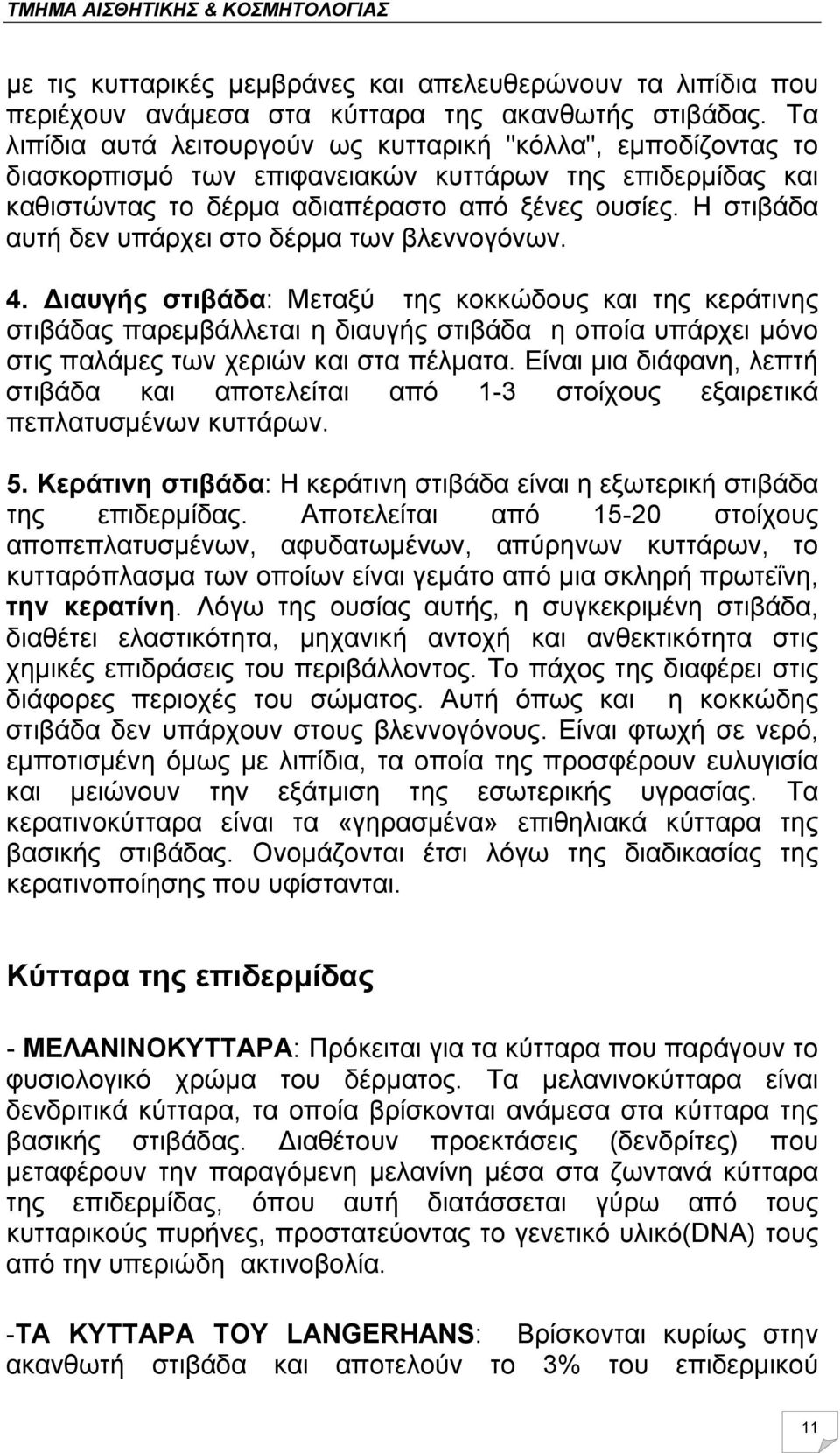 Η στιβάδα αυτή δεν υπάρχει στο δέρμα των βλεννογόνων. 4.