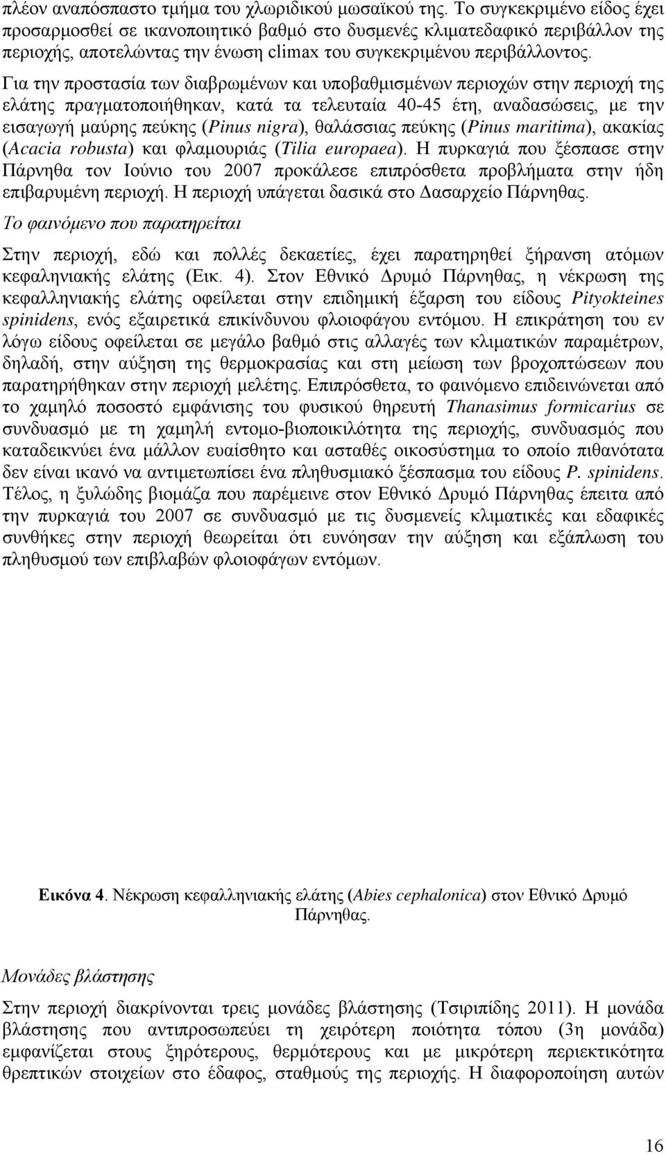 Για την προστασία των διαβρωμένων και υποβαθμισμένων περιοχών στην περιοχή της ελάτης πραγματοποιήθηκαν, κατά τα τελευταία 40-45 έτη, αναδασώσεις, με την εισαγωγή μαύρης πεύκης (Pinus nigra),