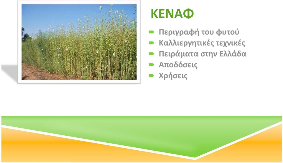 τεχνικές Πειράματα