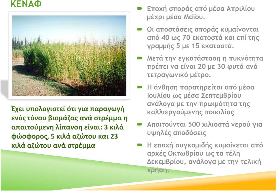 Μετά την εγκατάσταση η πυκνότητα πρέπει να είναι 20 με 30 φυτά ανά τετραγωνικό μέτρο.