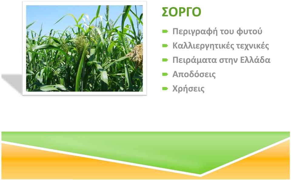 τεχνικές Πειράματα