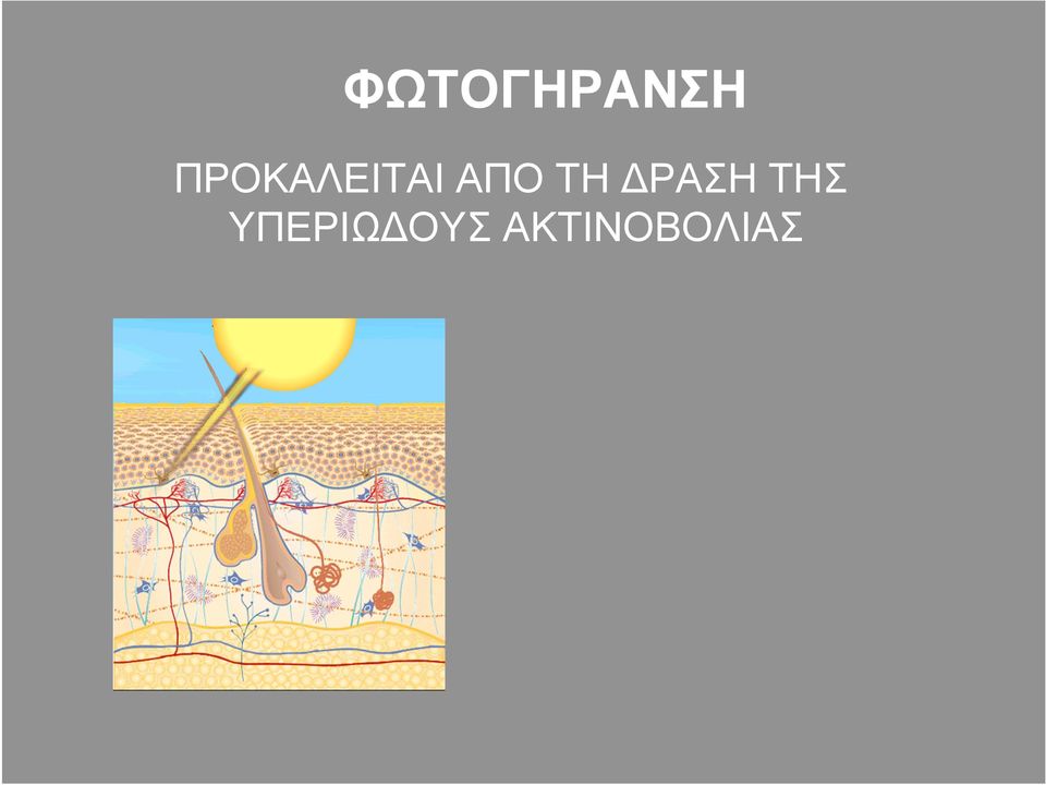 ΤΗ ΔΡΑΣΗ ΤΗΣ