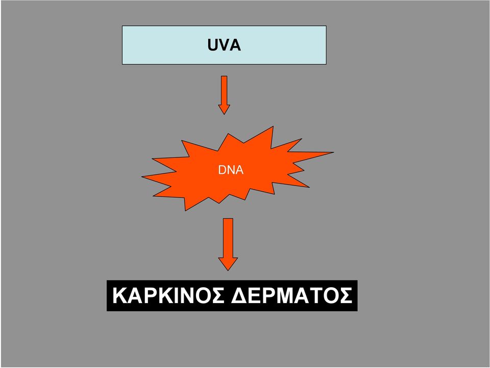ΔΕΡΜΑΤΟΣ