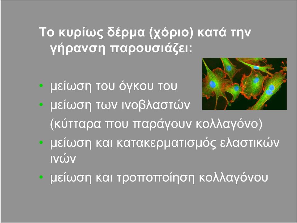 ινοβλαστών (κύτταρα που παράγουν κολλαγόνο) µείωση