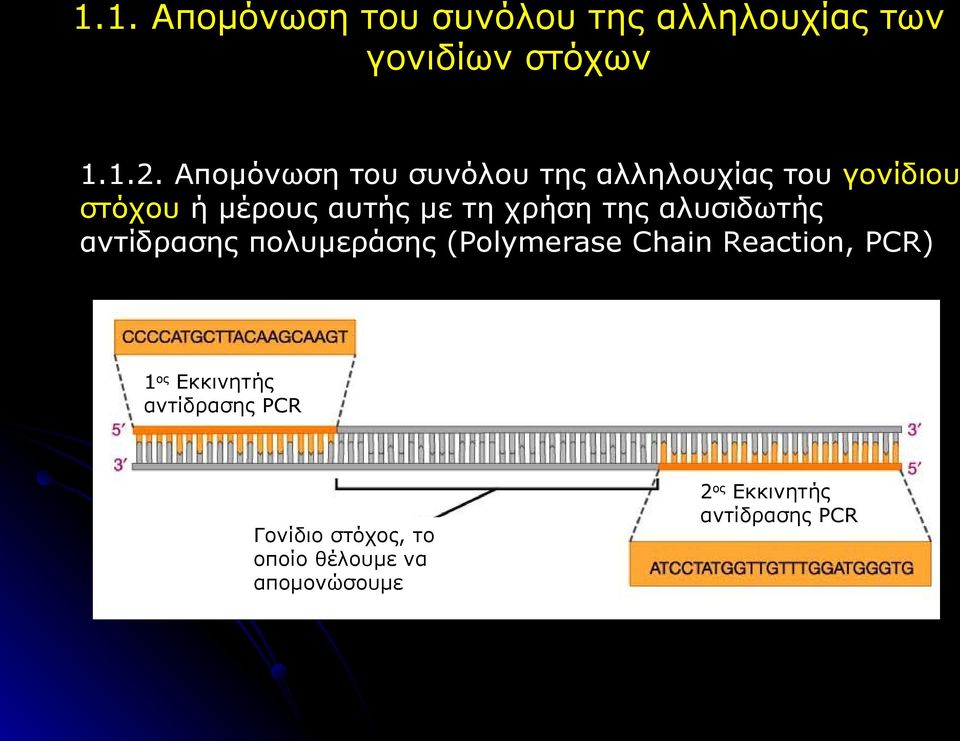 χρήση της αλυσιδωτής αντίδρασης πολυμεράσης (Polymerase Chain Reaction, PCR) 1ος
