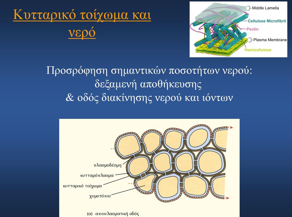 ποσοτήτων νερού: δεξαμενή