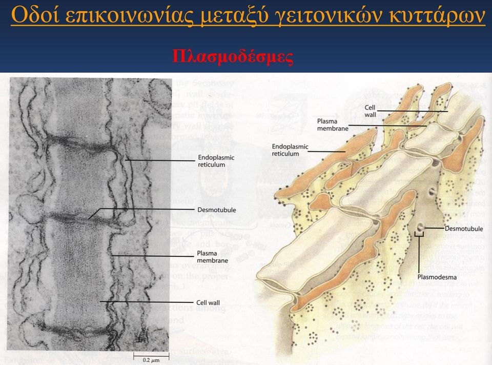 μεταξύ