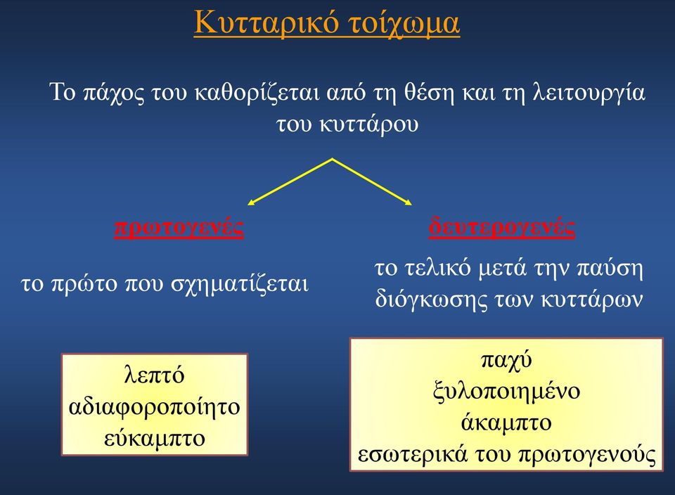 αδιαφοροποίητο εύκαμπτο δευτερογενές το τελικό μετά την παύση