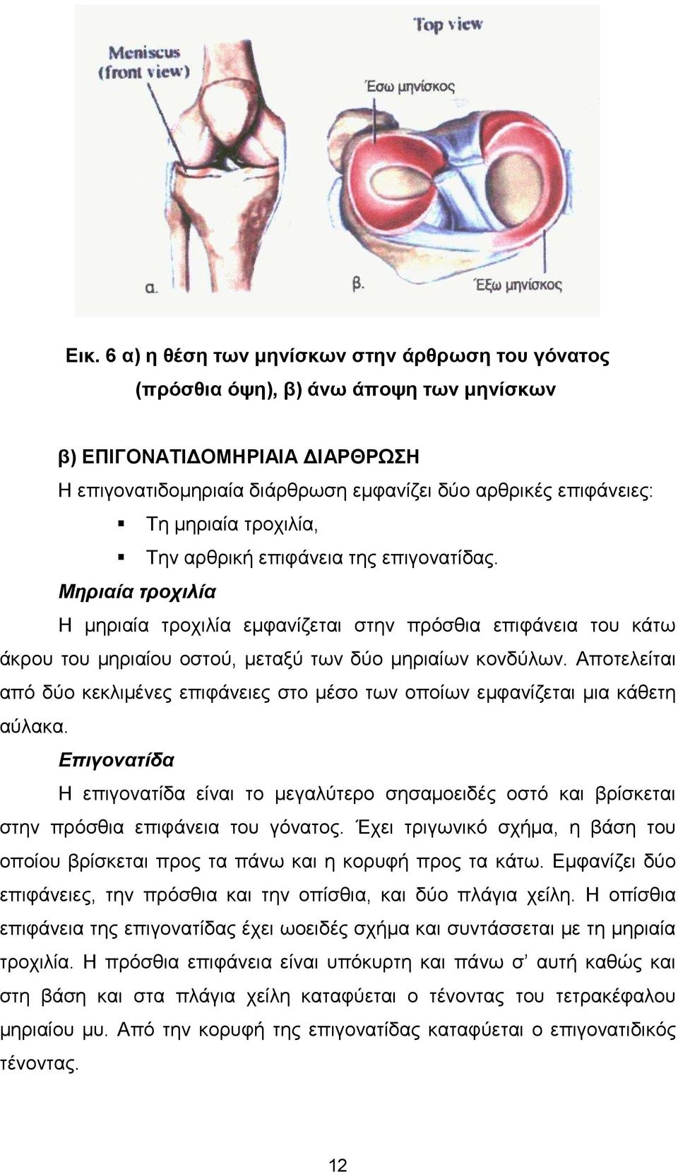 Αποτελείται από δύο κεκλιµένες επιφάνειες στο µέσο των οποίων εµφανίζεται µια κάθετη αύλακα.