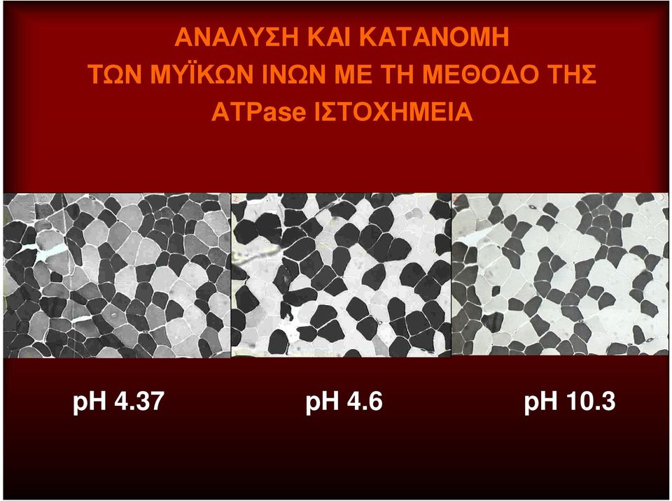 ΜΕΘΟΔΟ ΤΗΣ ΑΤΡase