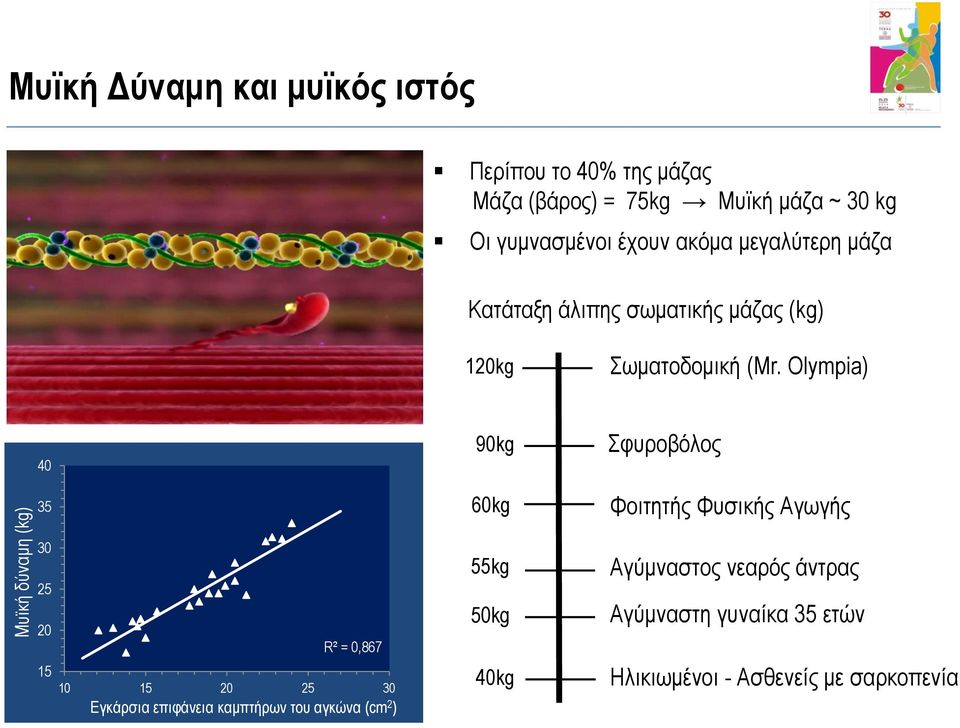 Olympia) 40 35 90kg 60kg Σφυροβόλος Φοιτητής Φυσικής Αγωγής 30 25 20 15 R² = 0,867 10 15 20 25 30 Εγκάρσια