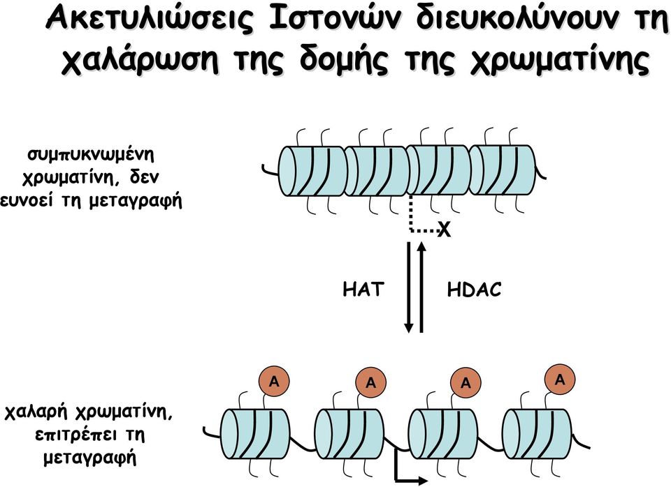 συμπυκνωμένη χρωματίνη, δεν ευνοεί τη