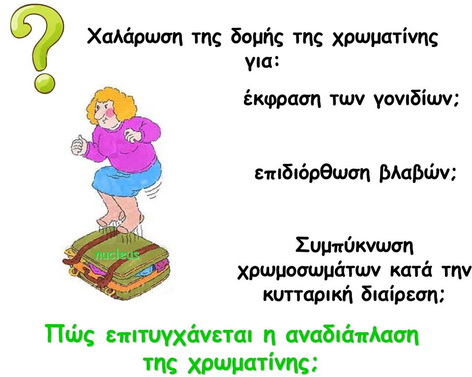 Συμπύκνωση χρωμοσωμάτων κατά την κυτταρική