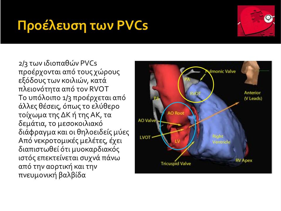 τοίχωματηςδκήτηςακ,τα δεμάτια,τομεσοκοιλιακό διάφραγμακαιοιθηλοειδείςμύες