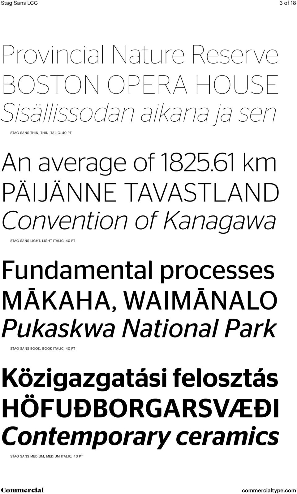61 km PÄIJÄNNE TAVASTLAND Convention of Kanagawa STAG SANS LIGHT, LIGHT ITALIC, 40 PT Fundamental processes