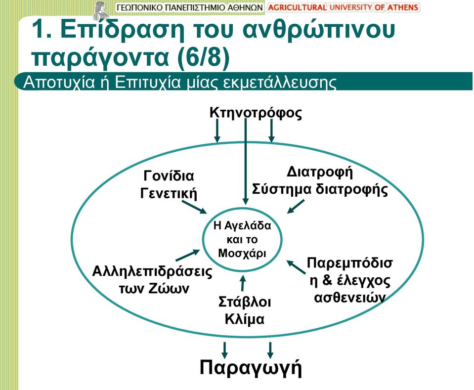 Διατροφή Σύστημα διατροφής Αλληλεπιδράσεις των Ζώων Η