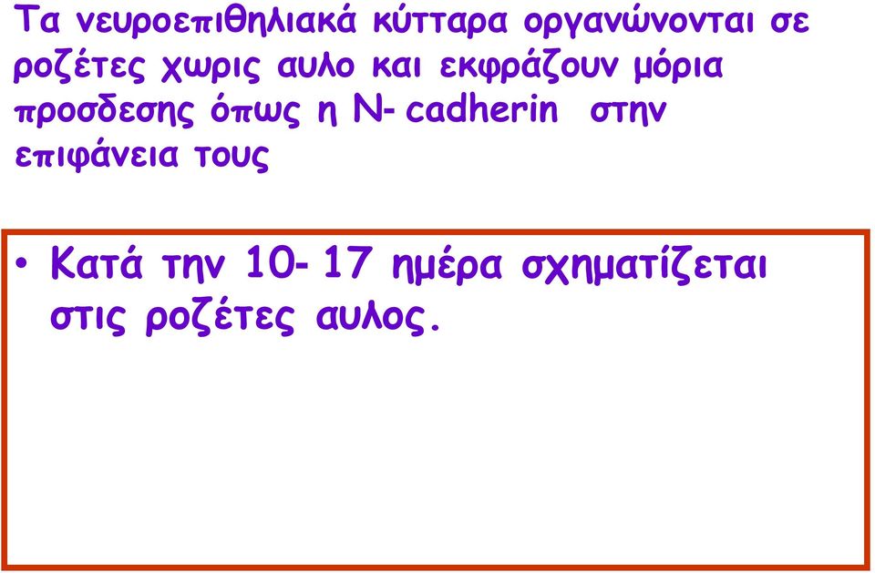 προσδεσης όπως η N-cadherin στην επιφάνεια