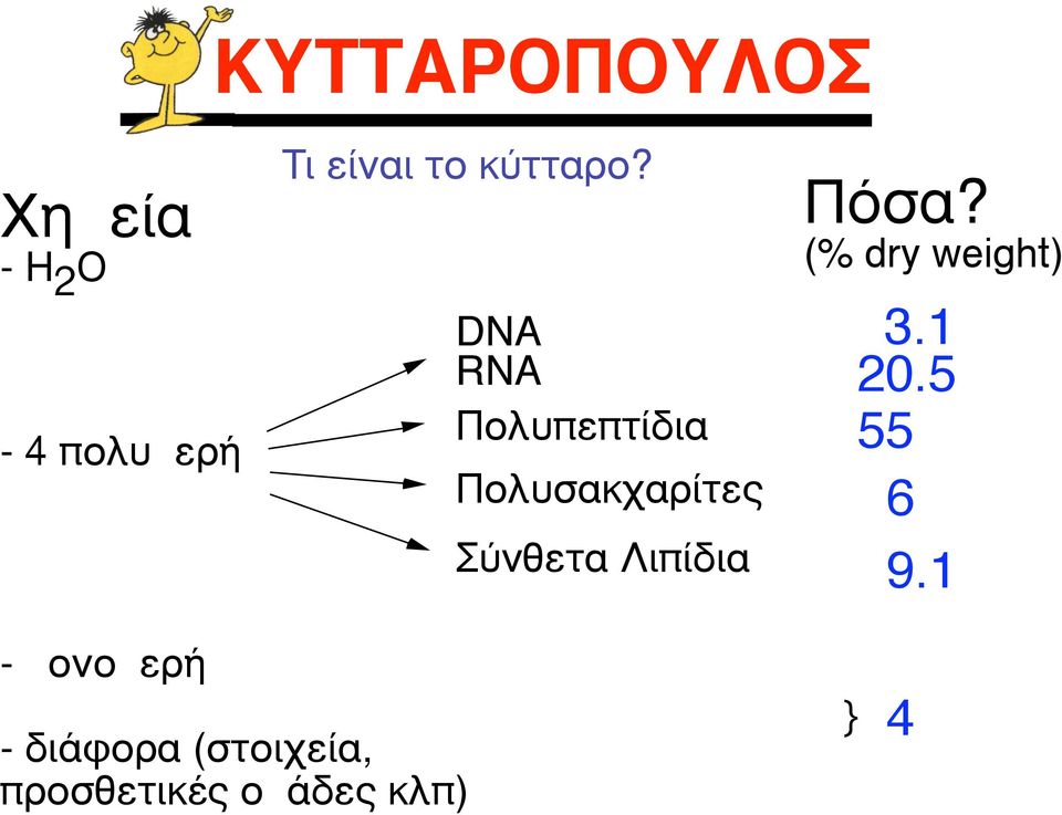 DNA RNA Πολυπεπτίδια Πολυσακχαρίτες Σύνθετα Λιπίδια