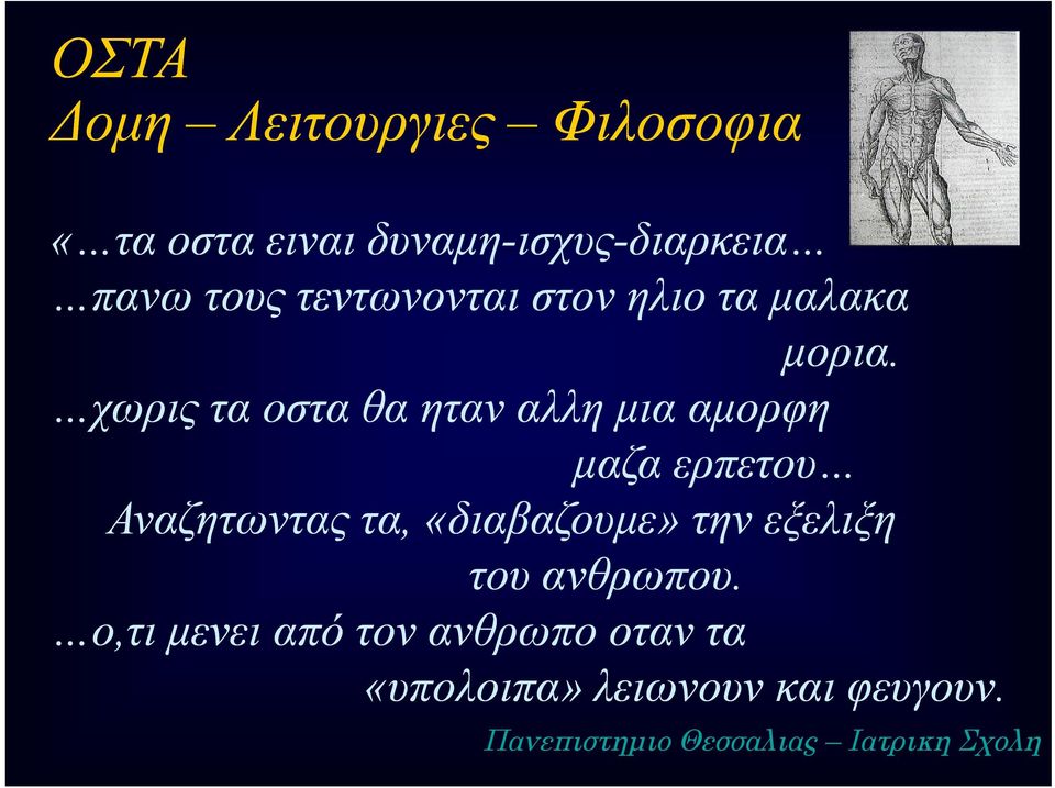 χωρις τα οστα θα ηταν αλλη μια αμορφη μαζα ερπετου Αναζητωντας τα, «διαβαζουμε»
