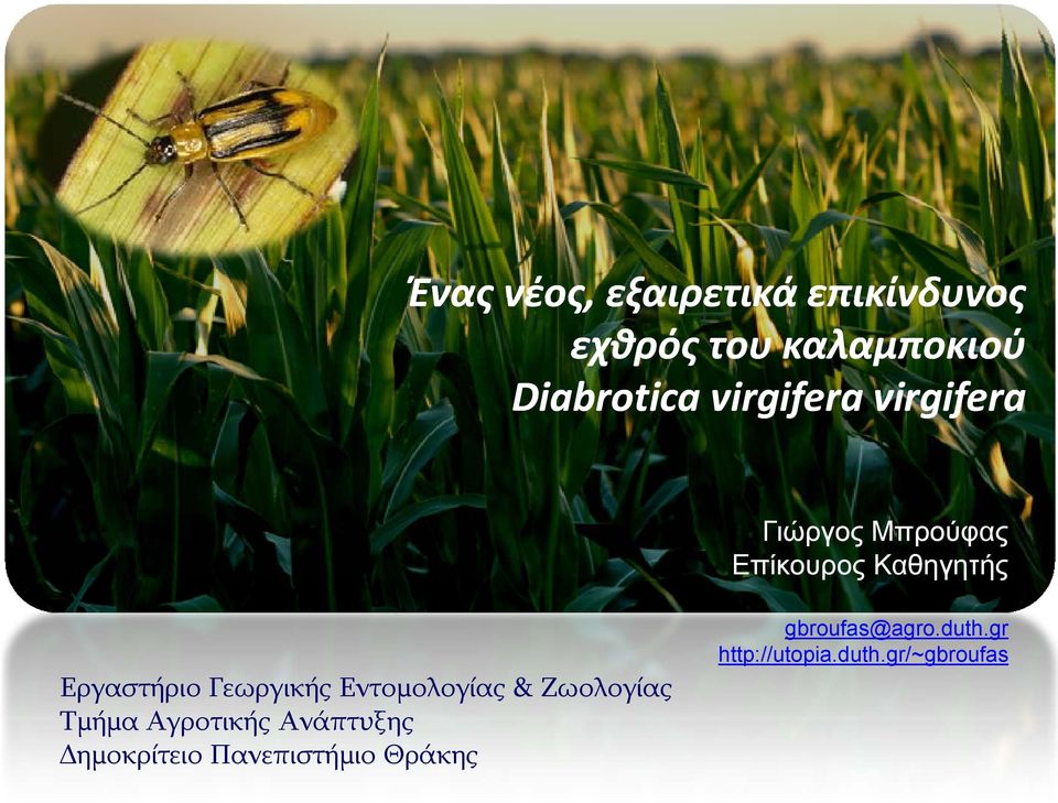 Μπρούφας Επίκουρος Καθηγητής gbroufas@agro.duth.gr http://utopia.