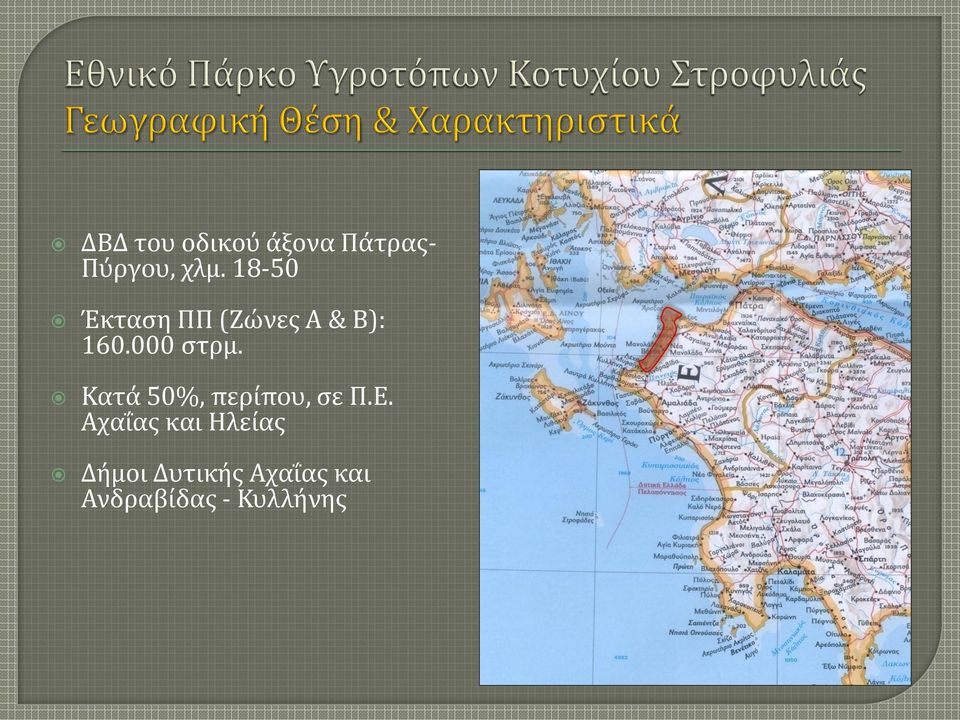 Κατά 50%, περίπου, σε Π.Ε.