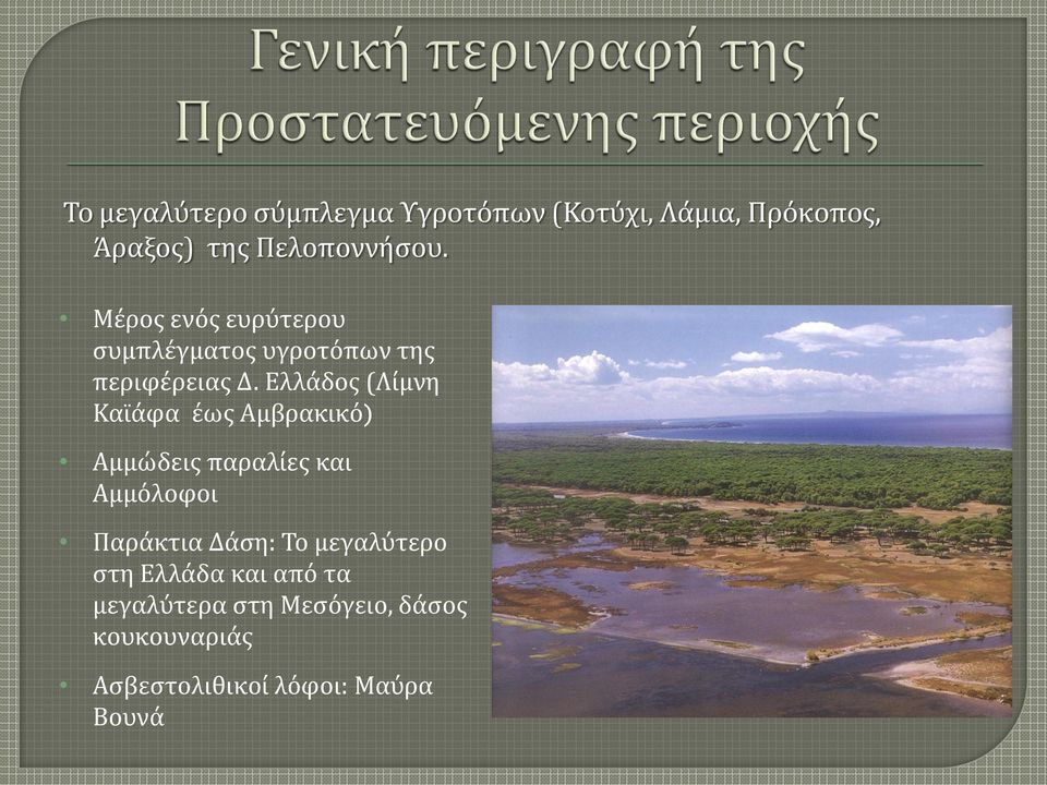 Ελλάδος (Λίμνη Καϊάφα έως Αμβρακικό) Αμμώδεις παραλίες και Αμμόλοφοι Παράκτια Δάση: Το