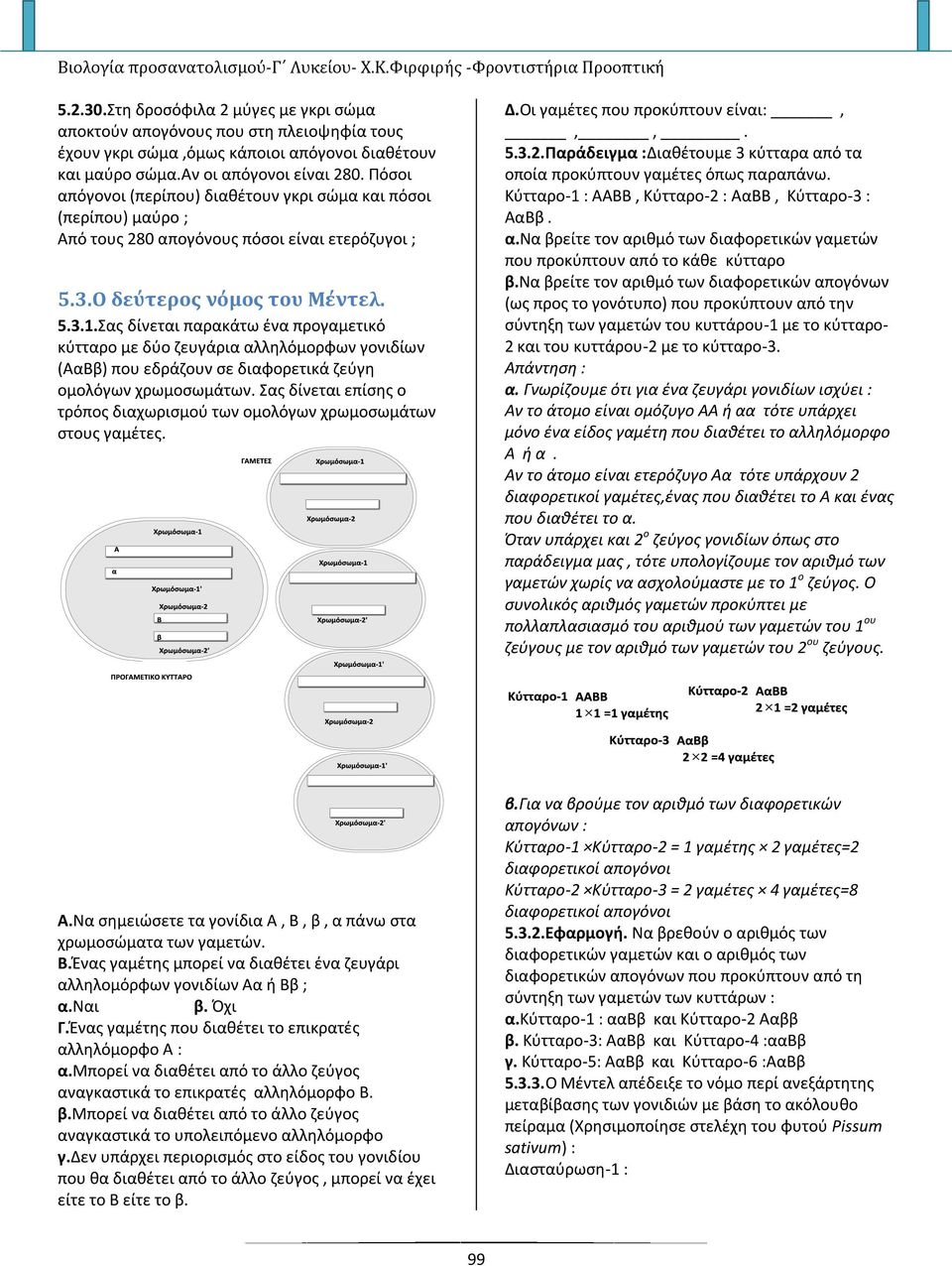 Πόσοι απόγονοι (περίπου) διαθέτουν γκρι σώμα και πόσοι (περίπου) μαύρο ; Από τους 280 απογόνους πόσοι είναι ετερόζυγοι ; Δ.Οι γαμέτες που προκύπτουν είναι:,,,. 5.3.2.Παράδειγμα :Διαθέτουμε 3 κύτταρα από τα οποία προκύπτουν γαμέτες όπως παραπάνω.