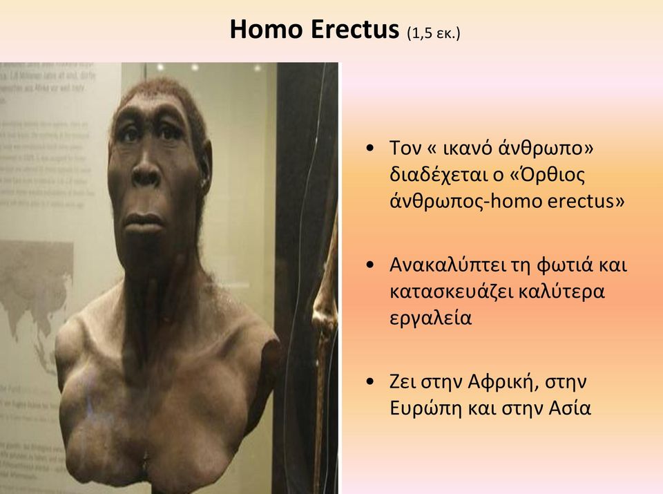 άνθρωπος-homo erectus» Ανακαλύπτει τη φωτιά