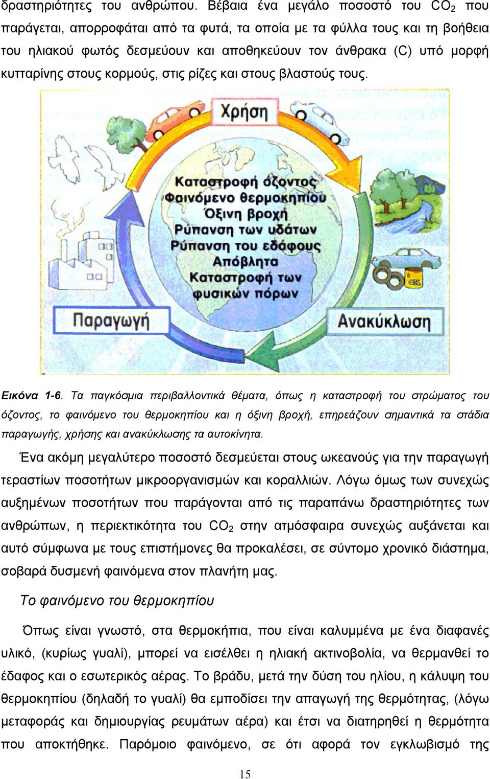 στους κορμούς, στις ρίζες και στους βλαστούς τους. Εικόνα 1-6.