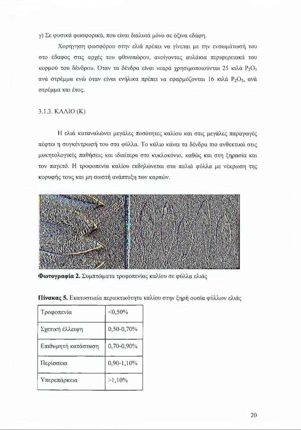 Όταν τα δένδρα είναι νεαρά χρησιμοποιούνται 25 κιλά Ρ2Ο5 ανά στρέμμα ενώ όταν είναι ενήλικα πρέπει να εφαρμόζονται 16 κιλά Ρ2Ο5, ανά στρέμμα και έτος. 3.