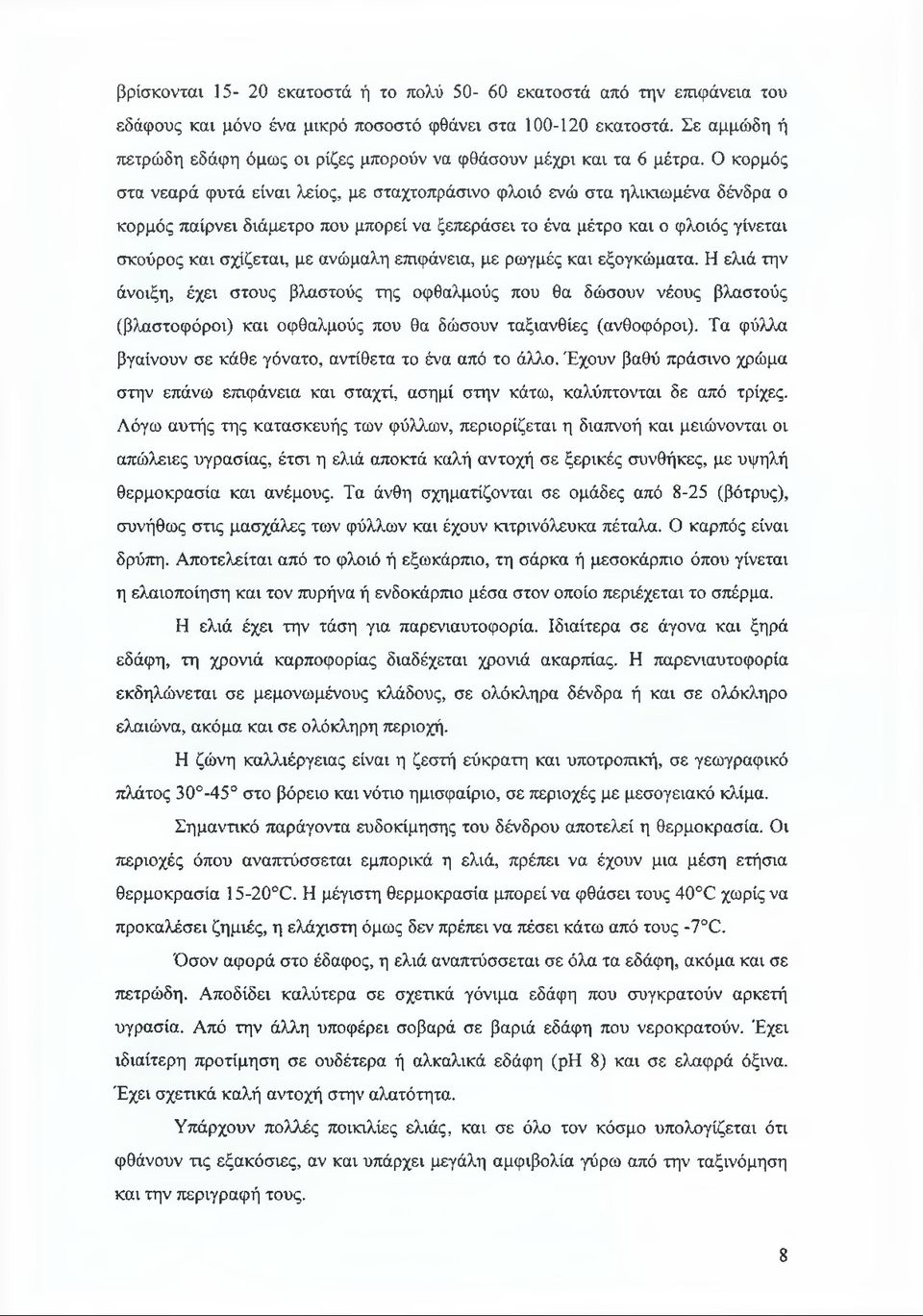 Ο κορμός στα νεαρά φυτά είναι λείος, με σταχτοπράσινο φλοιό ενώ στα ηλικιωμένα δένδρα ο κορμός παίρνει διάμετρο που μπορεί να ξεπεράσει το ένα μέτρο και ο φλοιός γίνεται σκούρος και σχίζεται, με