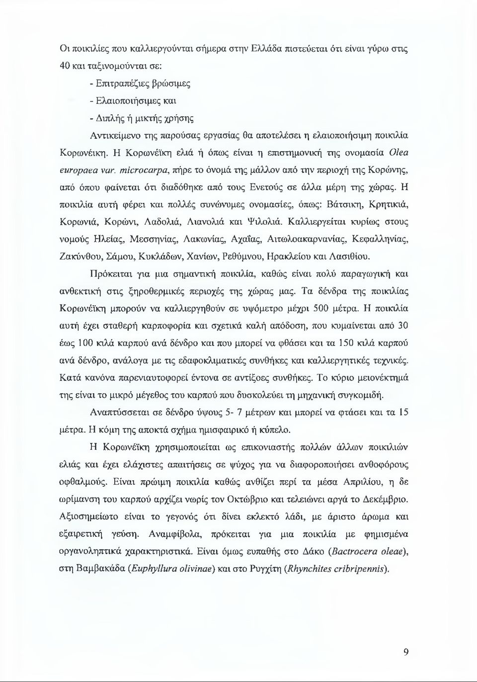 microcarpa, πήρε το όνομά της μάλλον από την περιοχή της Κορώνης, από όπου φαίνεται ότι διαδόθηκε από τους Ενετούς σε άλλα μέρη της χώρας.