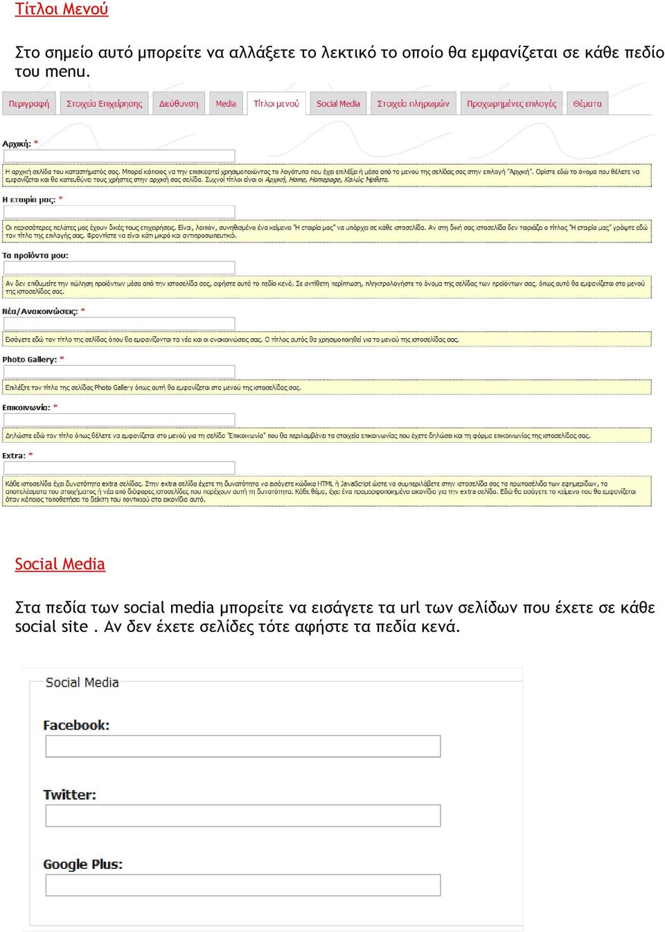 Social Media Στα πεδία των social media μπορείτε να εισάγετε τα