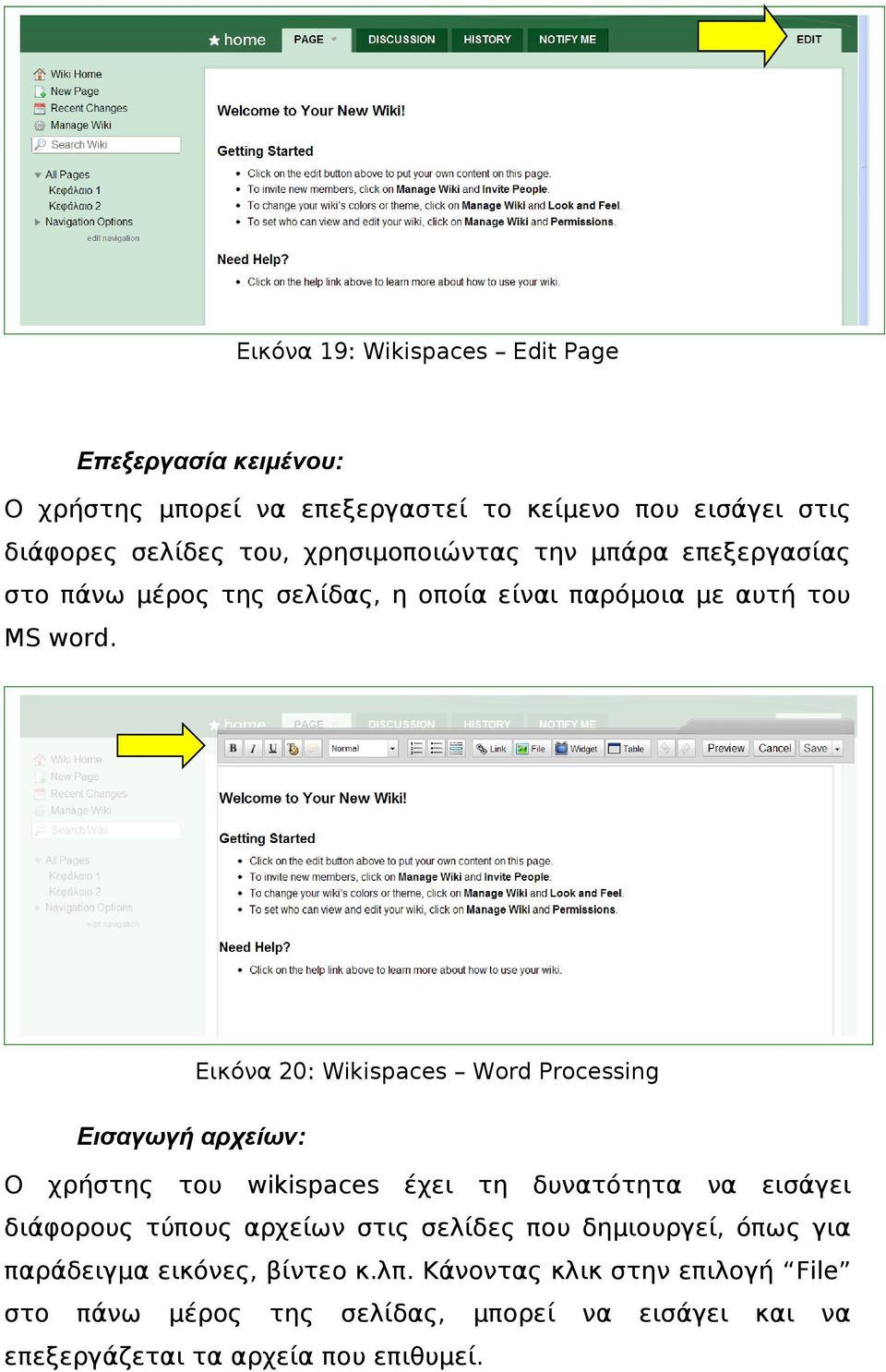 Εικόνα 20: Wikispaces Word Processing Εισαγωγή αρχείων: Ο χρήστης του wikispaces έχει τη δυνατότητα να εισάγει διάφορους τύπους αρχείων στις