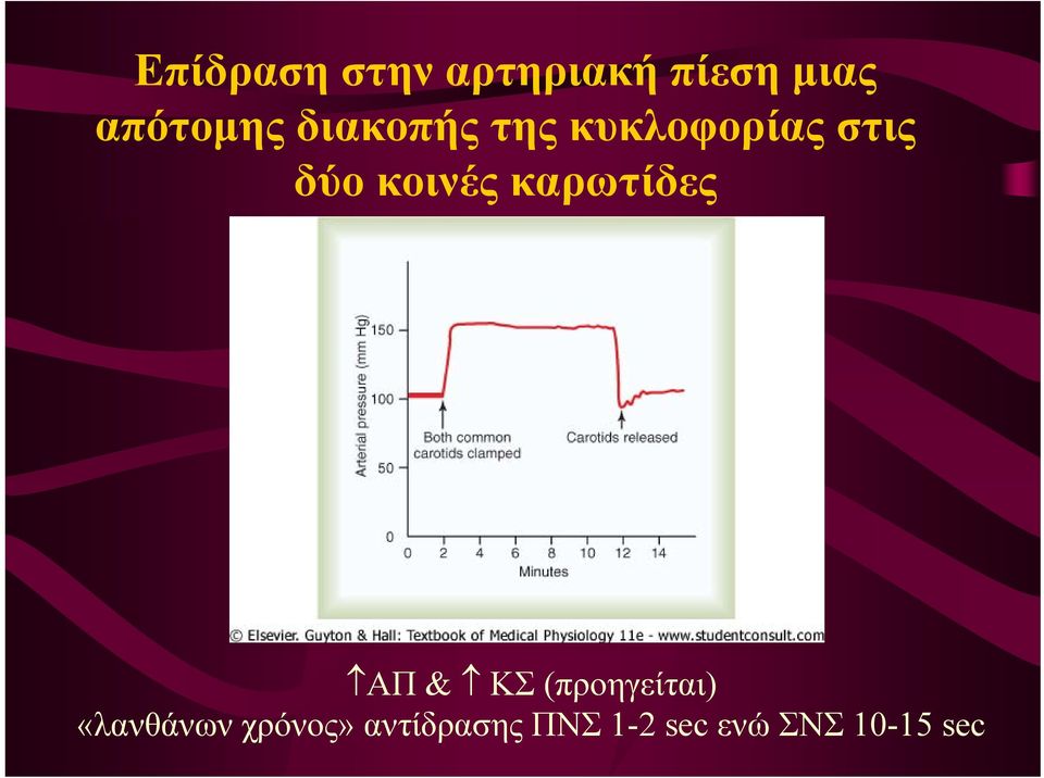 καρωτίδες ΑΠ & ΚΣ (προηγείται) «λανθάνων