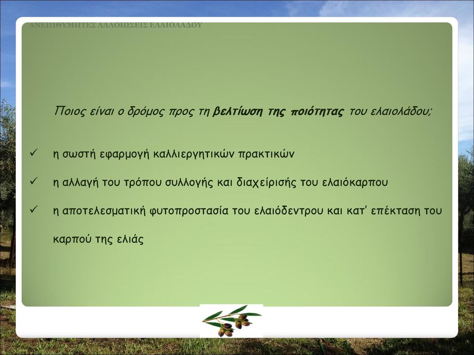 του τρόπου συλλογής και διαχείρισής του ελαιόκαρπου η