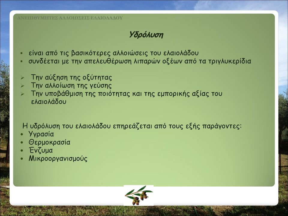 της γεύσης Την υποβάθμιση της ποιότητας και της εμπορικής αξίας του ελαιολάδου Η